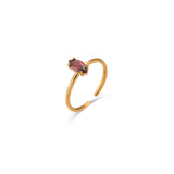 Ruby Jewelled Ring